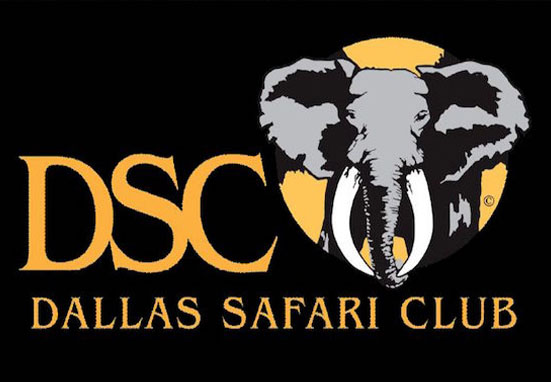 DSC Logo